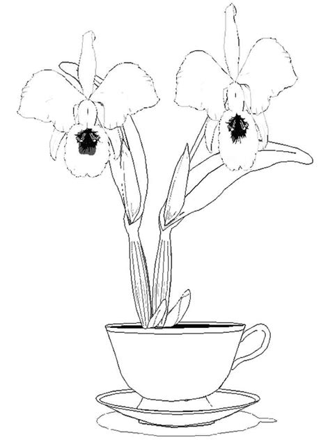 Fun, printable, free coloring pages can help children develop important skills. Orchid coloring pages. Download and print Orchid coloring ...