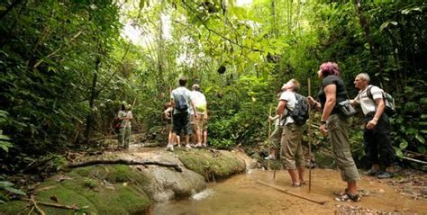 This diverse trip will take you to a karen elephant project. Jungle Trekking - Pangkor Island Malaysia