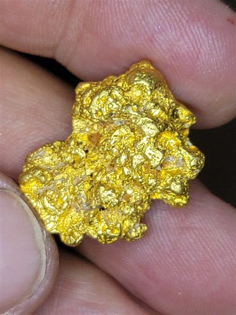 Contains 1 oz of gold. 15.72 gram very coarse Idaho Gold nugget - 1/2 ounce ...