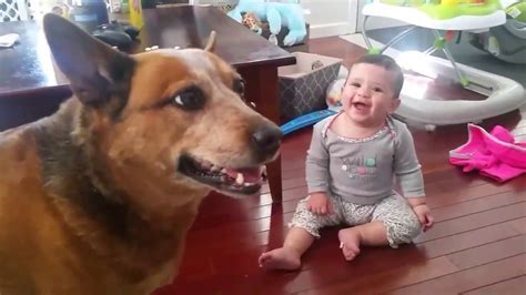 Rumble / babies & kids — babies are wonderful. Baby laughing at dog eating bubbles - YouTube