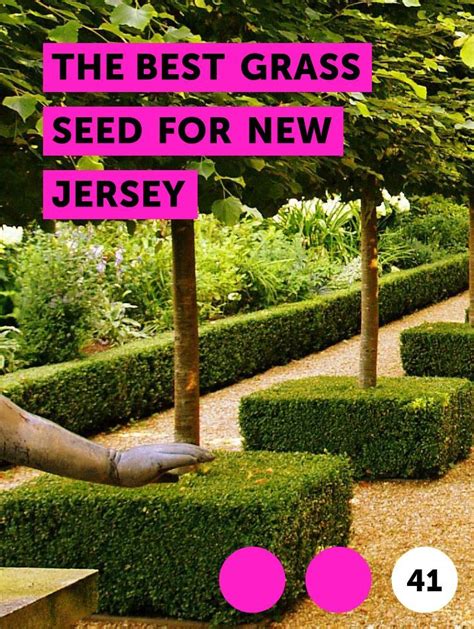 Peyote grows well anywhere if it is kept out of direct sunlight. The Best Grass Seed for New Jersey | Best grass seed ...