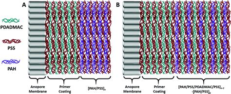 Learn the definition of 'nanofilms'. Cross-linked nanofilms for tunable permeability control in ...