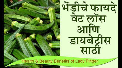 Jul 21, 2020 · 10 amazing lady finger benefits, bhindi health benefits : भेंडीचे फायदे | Health & Beauty Benefits of Lady Finger ...