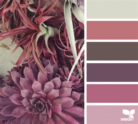 Succulent Tones | Design seeds, Color schemes, Colour pallete