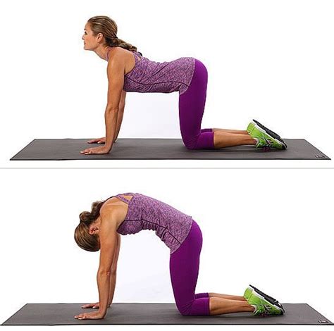 They also open the chest and lungs allowing for easier breathing. Yoga Poses For A Solid Core And A Healthy Body - Fitneass