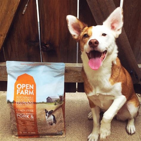 Australia's pet food industry is largely unregulated. Rubicon Days: Reasons We Love Rotation Feeding with Open ...