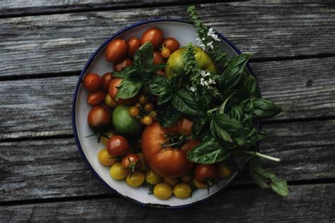 Aussaat, anbau, ausgeizen, düngung & verarbeitung von tomaten. Tomatenernte - Garten Fräulein - Der Garten Blog