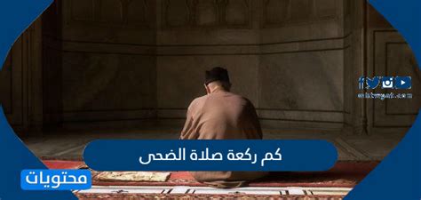 الوسائل المعينة على قيام الليل. كم ركعة صلاة الضحى - موقع محتويات