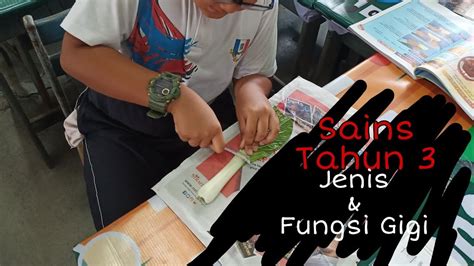 Di postingan pertama tahun ini, saya akan membahas tentang 4 jenis teknik olah tanah pertanian. Sains Tahun 3 - Jenis Gigi & Fungsinya - YouTube