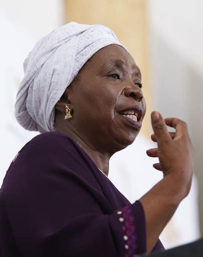 National assembly minister of cooperative governance and traditional affairs party: Nkosazana Dlamini-Zuma linked to Gupta financial probe