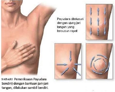 Di indonesia sendiri, kanker serviks menempati peringkat kedua untuk jenis kanker yang paling banyak ditemui pada wanita, setelah kanker payudara. Kondisi Kesehatan Dan Payudaramu - Tampang.com