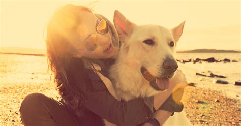 Airline travel for dogs is best avoided, but if you have to bring your pup along, having them in the cabin with you is second best! How to Take Your Dog on a Plane - NerdWallet