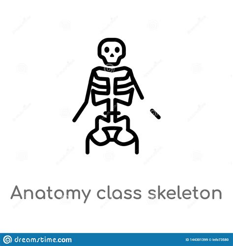 Outline Anatomy Class Skeleton Vector Icon. Isolated Black Simple Line ...