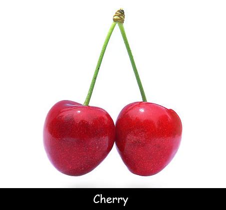 Welcome to the official facebook page of cherry mobile, your destination for all news, promos näytä lisää sivusta cherry mobile facebookissa. Cherry Facts for Kids