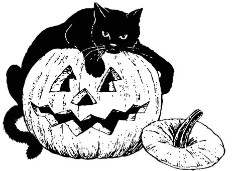 #illustration #cats #halloween #book illustration #cat illustration #books #library books #book thomas cat with his red bow for halloween (i know the roses in the bg make it look more like it's. Halloween Black Cat Drawing at GetDrawings | Free download