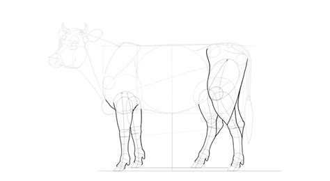 Maybe you would like to learn more about one of these? How to Draw a Cow | Cow, Drawings, Animal sketches