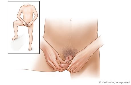 No annoying ads and a better search engine than pornhub! Testicular Self-Examination (TSE)