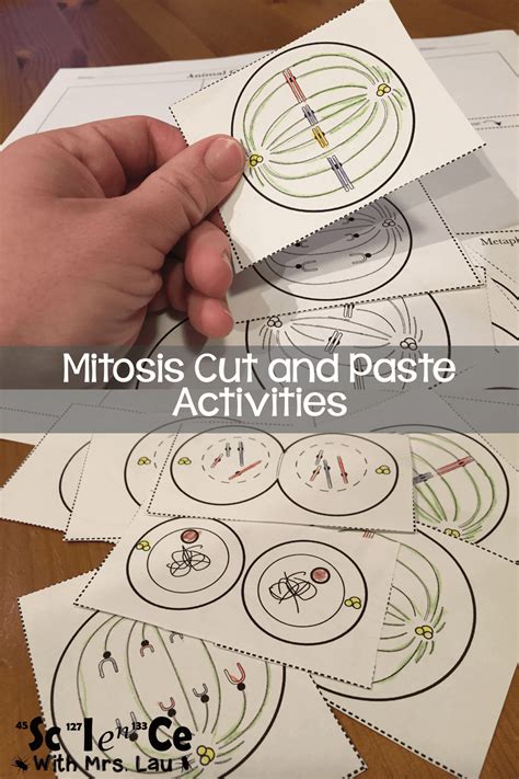 The philosophical chairs activity will allow the students to verbally articulate an argumentative position while specifically using textual evidence in order to be able to defend his. Mitosis Diagram Activities | Mitosis, Biology projects, Mitosis activity