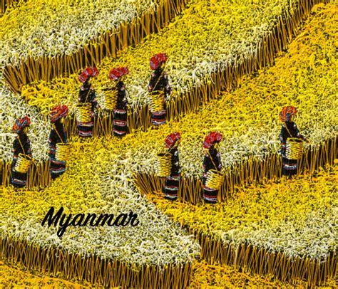 Get top trending free books in your inbox. Myanmar 2017-2018 by Ila & Met | Blurb Books