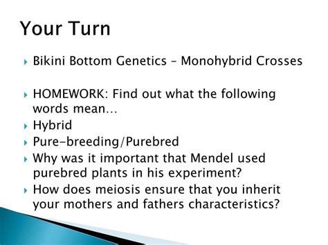 They are useful as they can predict the genetic probability of a particular phenotype arising in a couple's offspring. PPT - Monohybrid Crosses PowerPoint Presentation, free ...