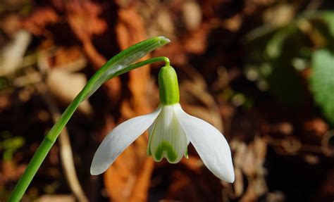 .frumoase despre martisor, maxime, cugetari, proverbe, aforisme ale unor autori celebri, poti gasi totul pe unul dintru cele mai mari siteuri de cuvinte frumoase despre martisor, mesaje frumoase. Felicitari de 1 Martie. Cele mai frumoase 50 de urari si ...