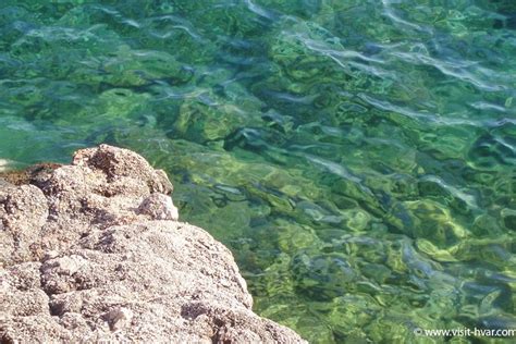 Natural beach, rocky beach destination: Naturist beach in Zavala | Island Hvar - Naturist beaches