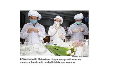 Oleh karena lidah buaya mengandung vitamin, mineral, asam amino, polisakarida. Produksi Hand Sanitizer Dari Lidah Buaya | Universitas ...