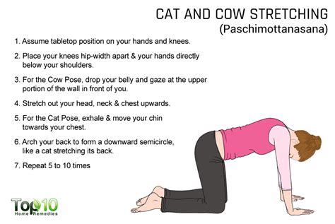 Redhead woman stretching spine practicing cat cow pose and doing bird dog balance or donkey kick posture, kneeling opposite arm and leg extension. 7 Yoga Poses to Help You Sleep Better at Night | Top 10 ...