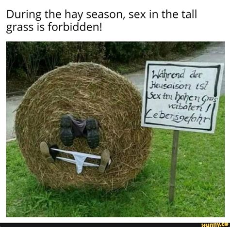 When siblings becky and cal hear the cries of a young boy lost within a field of tall grass, they tall grass that sorta lives and traps people, how could that go wrong? During the hay season, sex in the tall grass is forbidden! - iFunny :)