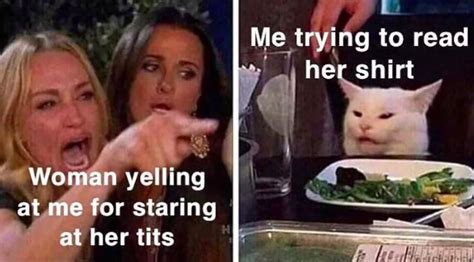 A subreddit dedicated to celebrate female office workers and other working women. 66 'Woman Yelling at a Cat' Memes That Still Slap in 2020 ...