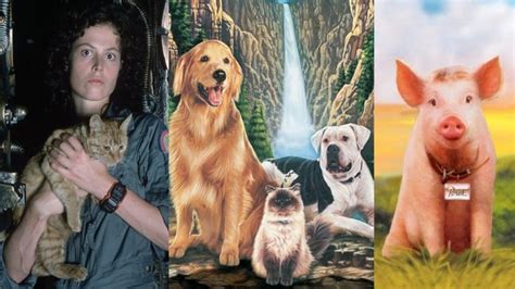 Collection by stampington & company • last updated 4 days ago. National Pet Month: 7 Films to Watch in Honour of All Pets ...