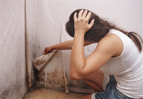 We did not find results for: Musty Vs. Moldy - Home Air Check