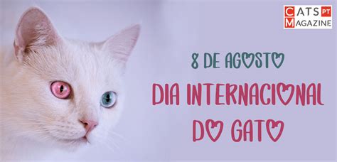 We would like to show you a description here but the site won't allow us. 8 de agosto | Dia Internacional do Gato - cats-ptmagazine