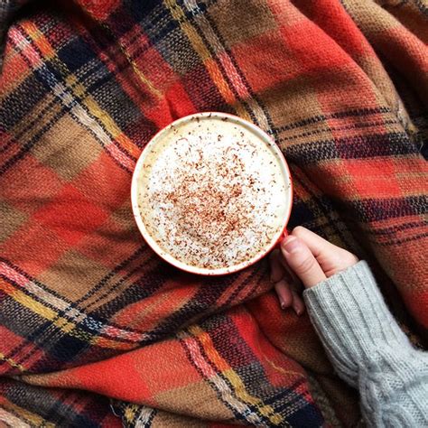 You got some schmidt on your face! pinterest: @tuhmblr °•.* | Fall feels, Autumn cozy, Autumn ...