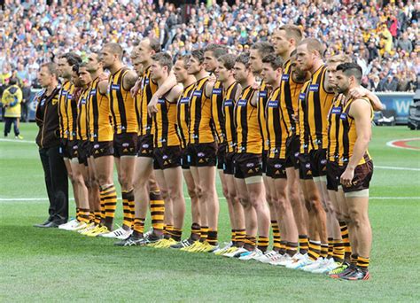 This is a list of hawthorn football club players who have made one or more appearance in the australian football league (afl), known as the victorian football league (vfl) until 1990. AFL grand final - in pictures | Sport | The Guardian