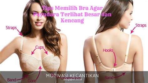 Bagi anda yang memiliki tubuh gemuk ada baiknya anda memilih jaket dengan warna yang. Tips Memilih Bra Agar Payudara Terlihat Besar dan Kencang ...