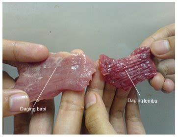 Jika anda menyukai resipi daging lembu, anda mungkin sukakan idea ini. Rezeki Timor: DAGING LEMBU VS DAGING KHINZIR