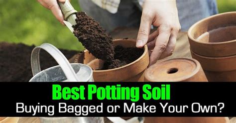 How to reuse potting soil safely dengarden how to plant a quick and easy garden in bags of soil. The Best Potting Soil: Buying Bagged or Make Your Own ...