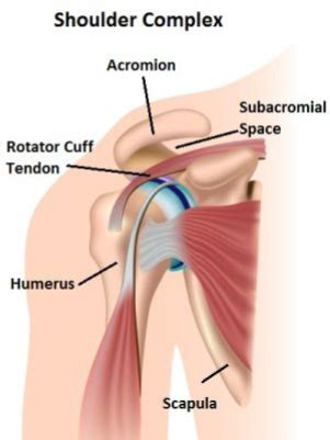 It has become such a commonly used junk term, such as patellofemoral pain, especially with physicians. OOK ZO N LAST VAN JE SCHOUDERS; hoe verminder je de ...