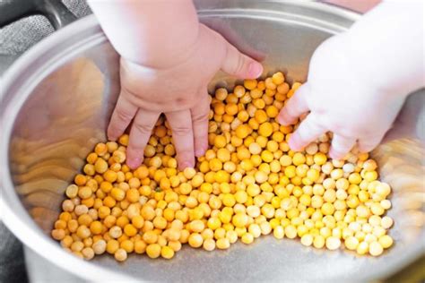 Dieses schreibt auch, dass beim backen/kochen und einem erreichen einer innentemperatur von 100°c in wenigen sekunden die toxine deaktiviert werden. Ab wann dürfen Babys Hülsenfrüchte essen? | Babyled Weaning