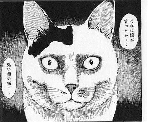 Itō junji, born july 31, 1963) is a japanese horror mangaka. 《伊藤潤二畫風的貓》臉上的花紋真的是微妙的巧合