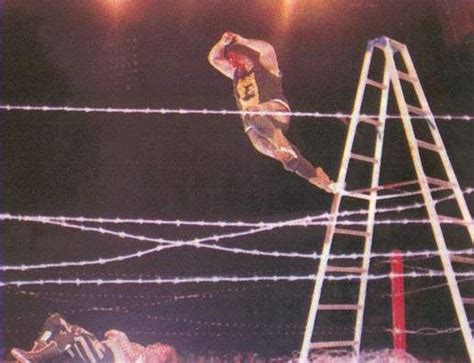 Barbed wire on a cactus 2. 400 best Pose - Pro Wrestling images on Pinterest ...