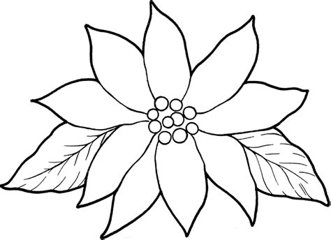 You can use our amazing online tool to color and edit the following poinsettia coloring pages. Poinsettia Coloring Page For Kids - Coloring Home