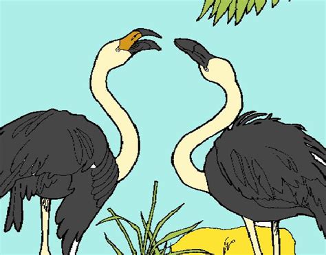 1606 yılında flamengos köyü jerónimo de utra corte real yardım yoluyla, restore edilmiş ve daha sonra manuel brum da silveira girişimler. Desenho de Flamengos pintado e colorido por Usuário não ...