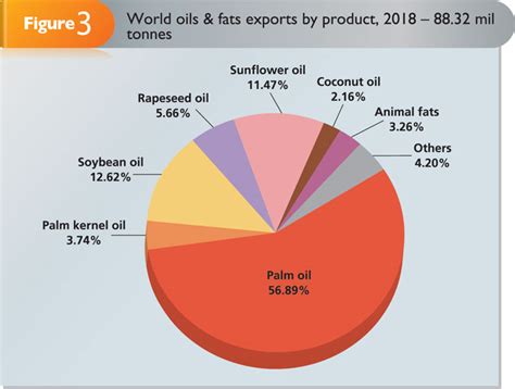 Mature oil palm plantation in malaysia (2007). Malaysian Palm Oil - Industry Overview | Global Oil & Fats ...