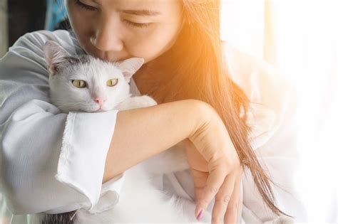 Can cats detect cancer in their humans? Can Cats Sense Sadness?