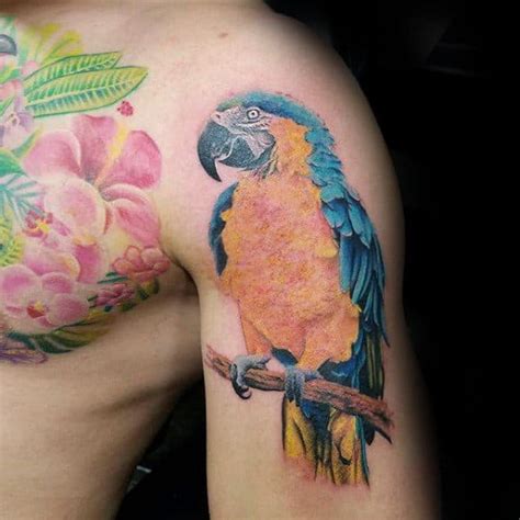 A peacock symbolizes royalty, liveliness, graciousness, and sexual appeal. 60 Parrot Tattoo Designs For Men - Mimicry Ink Ideas