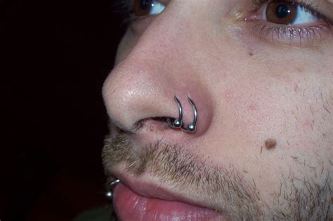 There should be no self promotion links or shop just want a few opinions about whether getting your septum and nostril pierced in the same. A story of metal and mayhem: Types of Nose Piercings