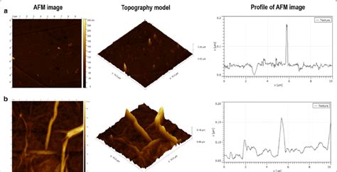 Tue, aug 17, 2021, 5:07am edt Graphene oxide nanofilm surface characterisation compared ...