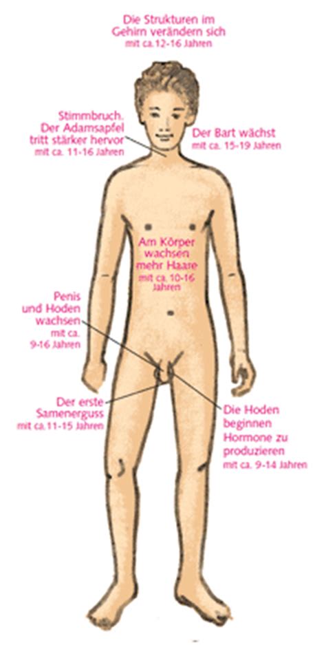 Wann beginnt die pubertät bei mädchen? pro familia > Jugendliche > Pubertät > Körperliche ...
